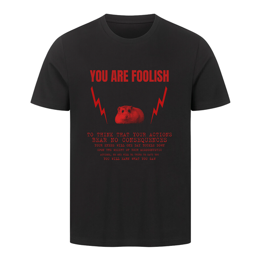 "you are foolish"  T-Shirt - Unisex